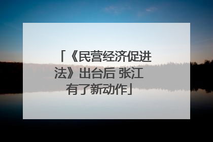 《民营经济促进法》出台后 张江有了新动作
