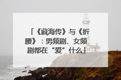 《藏海传》与《折腰》：男频剧、女频剧都在“爱”什么