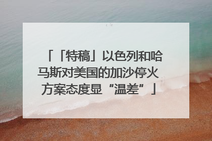 「特稿」以色列和哈马斯对美国的加沙停火方案态度显“温差”