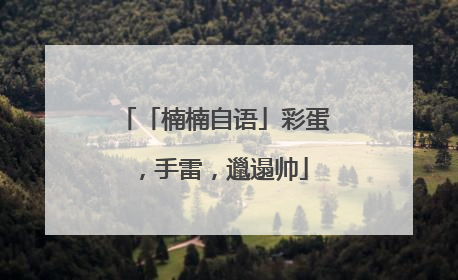 「楠楠自语」彩蛋，手雷，邋遢帅
