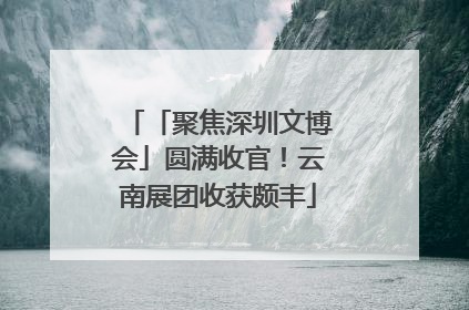 「聚焦深圳文博会」圆满收官！云南展团收获颇丰