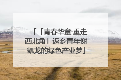 「青春华章·重走西北角」返乡青年谢凯龙的绿色产业梦