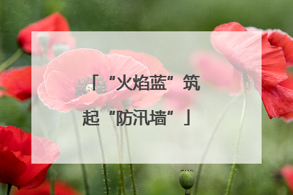 “火焰蓝”筑起“防汛墙”