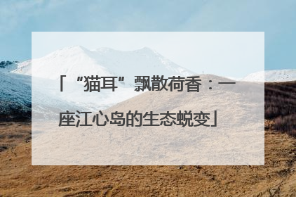“猫耳”飘散荷香：一座江心岛的生态蜕变