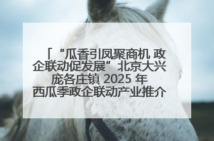 “瓜香引凤聚商机 政企联动促发展”北京大兴庞各庄镇 2025 年西瓜季政企联动产业推介活动圆满举行