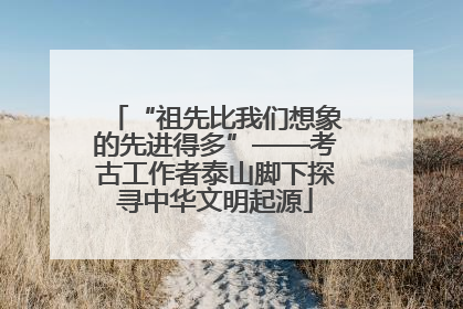 “祖先比我们想象的先进得多”——考古工作者泰山脚下探寻中华文明起源