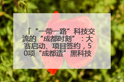 “一带一路”科技交流的“成都时刻”：大赛启动、项目签约，50项“成都造”黑科技吸引多国客商