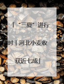 “三夏”进行时丨河北小麦收获近七成