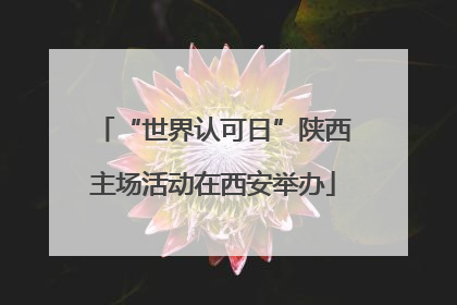 “世界认可日”陕西主场活动在西安举办