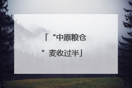“中原粮仓”麦收过半