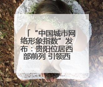 “中国城市网络形象指数”发布：贵阳位居西部前列 引领西部发展