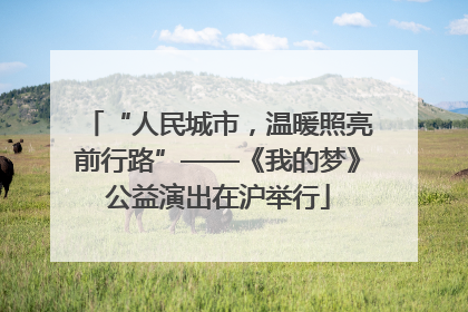 “人民城市，温暖照亮前行路”——《我的梦》公益演出在沪举行