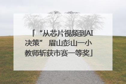 “从芯片视频到AI决策” 眉山彭山一小教师斩获市赛一等奖