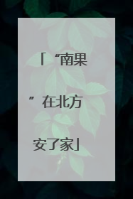 “南果”在北方安了家