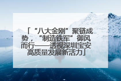 “八大金刚”聚链成势，“制造铁军”御风而行——透视深圳宝安高质量发展新活力