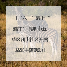 “六一”遇上“端午” 昆明市五华区团山社区开展精彩主题活动