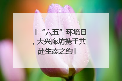 “六五”环境日，大兴廊坊携手共赴生态之约