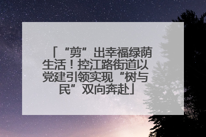 “剪”出幸福绿荫生活！控江路街道以党建引领实现“树与民”双向奔赴