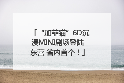 “加菲猫”6D沉浸MINI剧场登陆东营 省内首个！