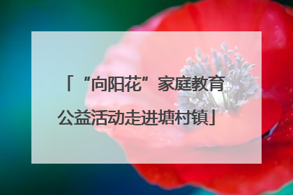 “向阳花”家庭教育公益活动走进塘村镇