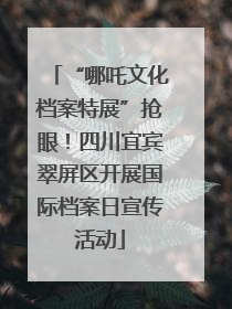 “哪吒文化档案特展”抢眼！四川宜宾翠屏区开展国际档案日宣传活动