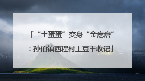 “土蛋蛋”变身“金疙瘩”：孙伯镇西程村土豆丰收记