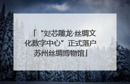 “彣芯雕龙·丝绸文化数字中心”正式落户苏州丝绸博物馆