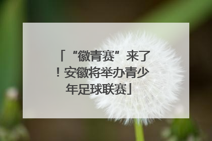 “徽青赛”来了！安徽将举办青少年足球联赛