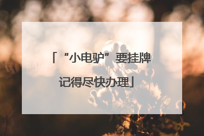 “小电驴”要挂牌 记得尽快办理