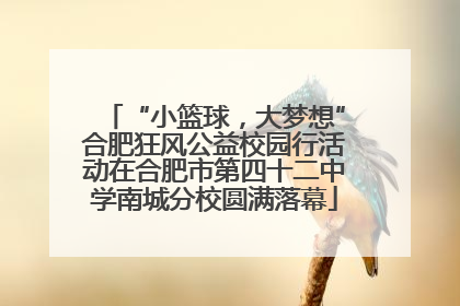 “小篮球，大梦想”合肥狂风公益校园行活动在合肥市第四十二中学南城分校圆满落幕