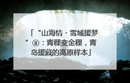 “山海情・雪域援梦”⑧：青稞变金稞，青岛援藏的高原样本