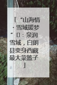 “山海情・雪域援梦”⑪：泉润雪域，白朗县变身西藏最大菜篮子