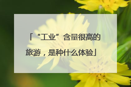 “工业”含量很高的旅游，是种什么体验