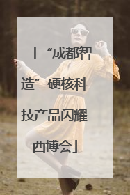 “成都智造”硬核科技产品闪耀西博会