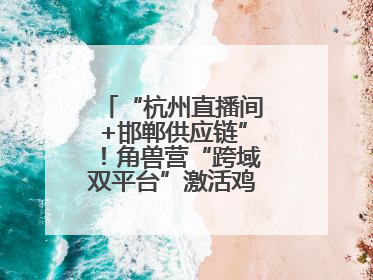 “杭州直播间+邯郸供应链”！角兽营“跨域双平台”激活鸡泽产业新动能