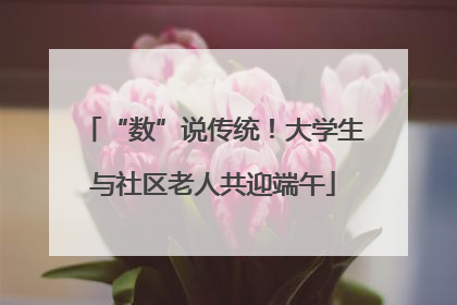 “数”说传统！大学生与社区老人共迎端午