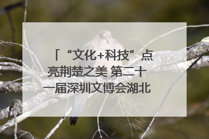 “文化+科技”点亮荆楚之美 第二十一届深圳文博会湖北馆抢“鲜”看