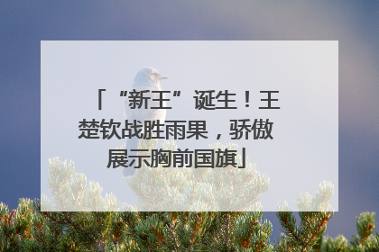 “新王”诞生！王楚钦战胜雨果，骄傲展示胸前国旗