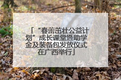 “春蕾茁壮公益计划”成长课堂暨助学金及装备包发放仪式在广西举行