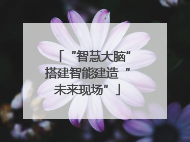 “智慧大脑”搭建智能建造“未来现场”