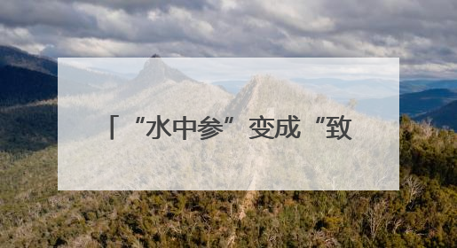 “水中参”变成“致富宝” 南漳八泉村千亩茭白喜获丰收