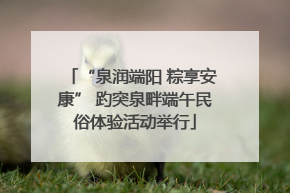 “泉润端阳 粽享安康” 趵突泉畔端午民俗体验活动举行