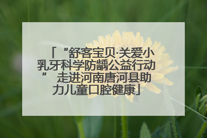 “舒客宝贝·关爱小乳牙科学防龋公益行动” 走进河南唐河县助力儿童口腔健康