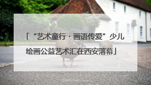 “艺术童行・画语传爱”少儿绘画公益艺术汇在西安落幕
