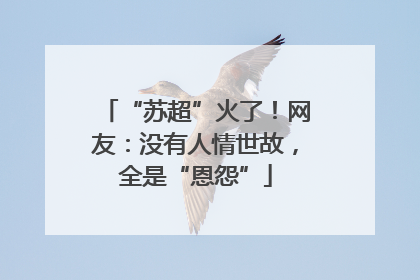 “苏超”火了！网友：没有人情世故，全是“恩怨”