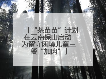 “茶苗苗”计划在云南保山启动 为留守困境儿童三餐“加肉”