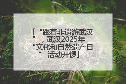 “跟着非遗游武汉”，武汉2025年“文化和自然遗产日” 活动开锣