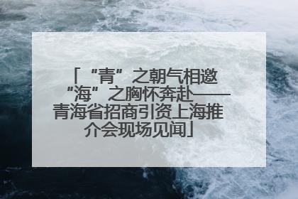 “青”之朝气相邀 “海”之胸怀奔赴——青海省招商引资上海推介会现场见闻