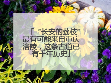 “长安的荔枝”最有可能来自重庆涪陵，这条古道已有千年历史