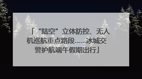“陆空”立体防控、无人机巡航重点路段……冰城交警护航端午假期出行